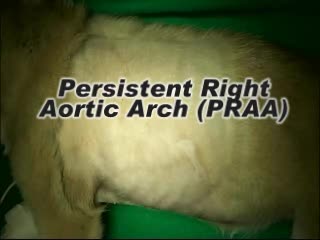 '.$jcate[$i][jc_tit].'