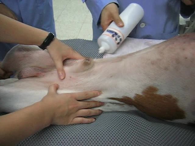 '.$jcate[$i][jc_tit].'