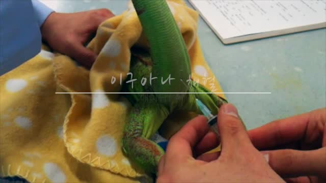 '.$jcate[$i][jc_tit].'