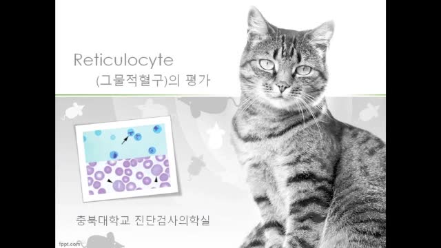 '.$jcate[$i][jc_tit].'