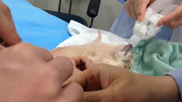 '.$jcate[$i][jc_tit].'