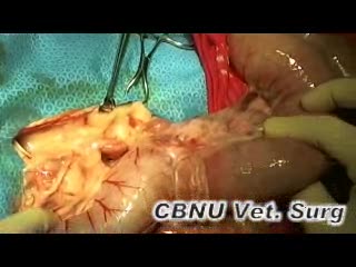 '.$jcate[$i][jc_tit].'