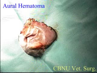 '.$jcate[$i][jc_tit].'