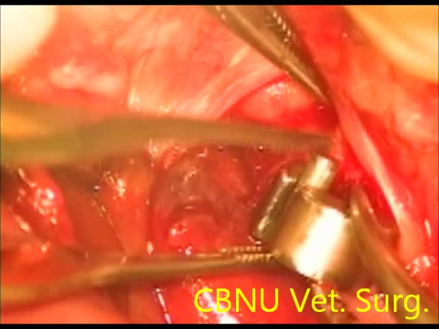 '.$jcate[$i][jc_tit].'