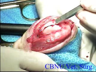 '.$jcate[$i][jc_tit].'