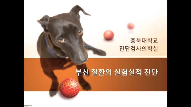 '.$jcate[$i][jc_tit].'