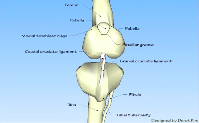 '.$jcate[$i][jc_tit].'