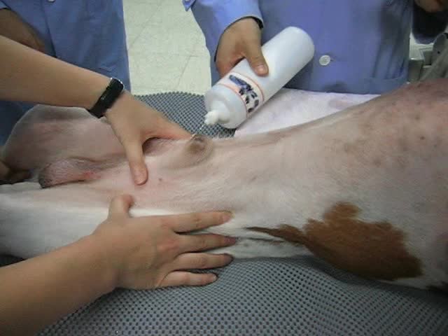 '.$jcate[$i][jc_tit].'