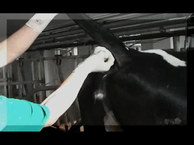 '.$jcate[$i][jc_tit].'