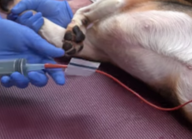 '.$jcate[$i][jc_tit].'