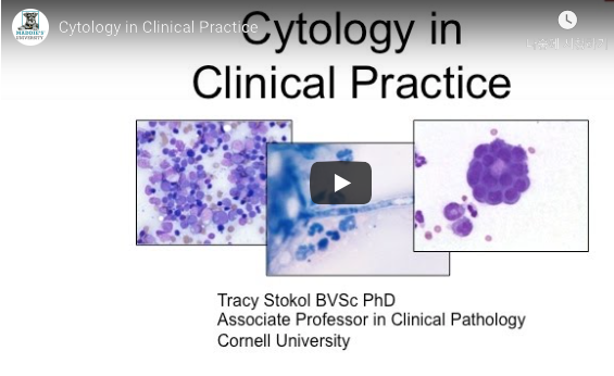 '.$jcate[$i][jc_tit].'