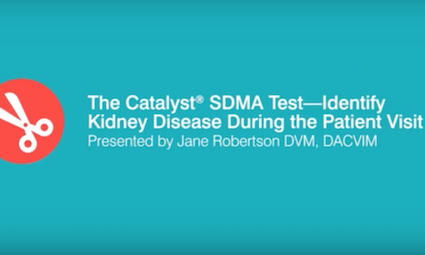 '.$jcate[$i][jc_tit].'