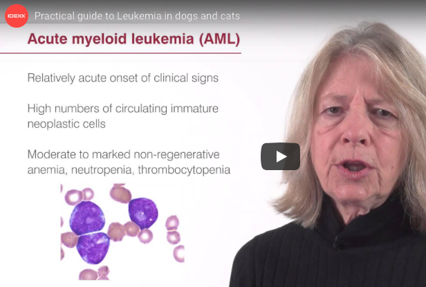 '.$jcate[$i][jc_tit].'