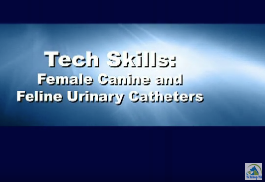 '.$jcate[$i][jc_tit].'