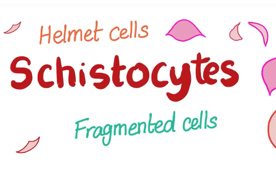 '.$jcate[$i][jc_tit].'