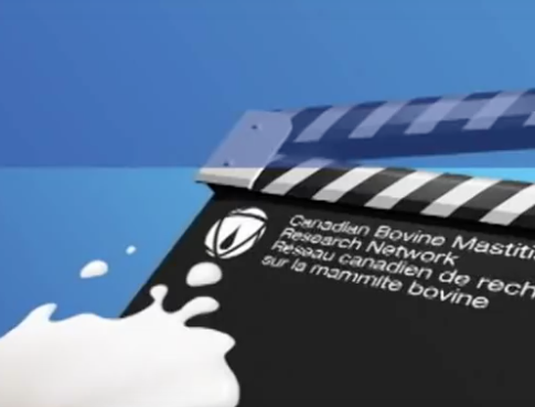 '.$jcate[$i][jc_tit].'