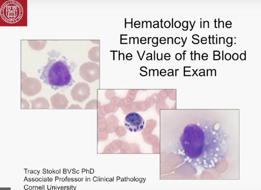 '.$jcate[$i][jc_tit].'