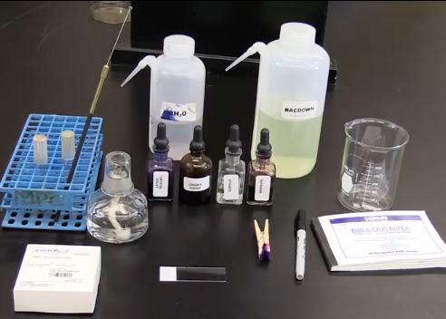 '.$jcate[$i][jc_tit].'