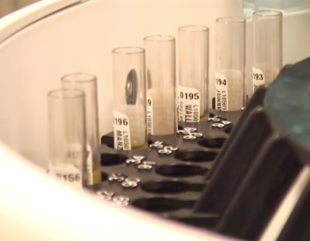 '.$jcate[$i][jc_tit].'