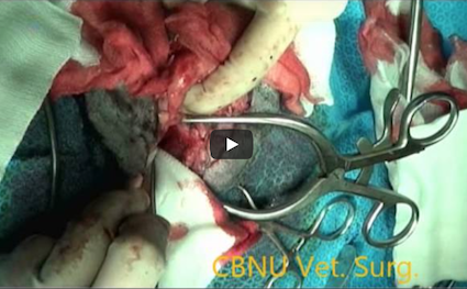 '.$jcate[$i][jc_tit].'