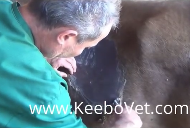 '.$jcate[$i][jc_tit].'