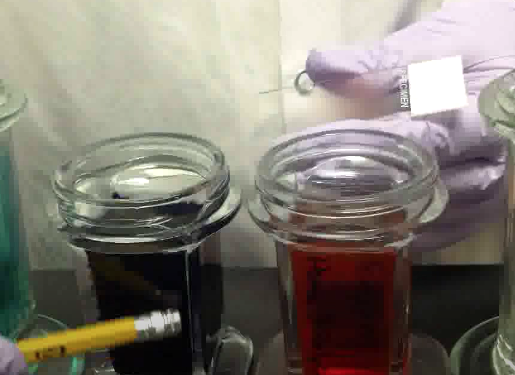 '.$jcate[$i][jc_tit].'