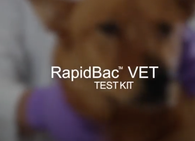 '.$jcate[$i][jc_tit].'