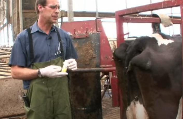 '.$jcate[$i][jc_tit].'