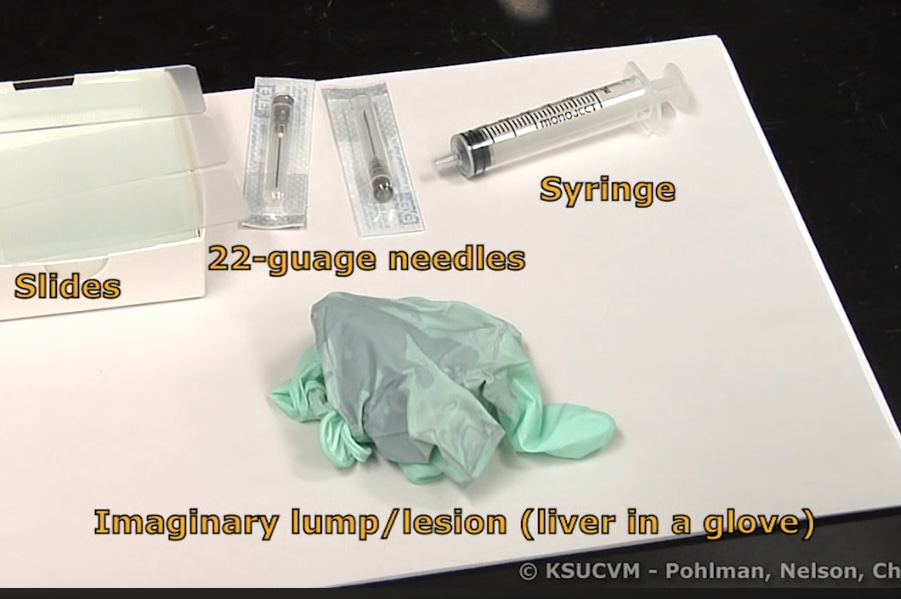 '.$jcate[$i][jc_tit].'