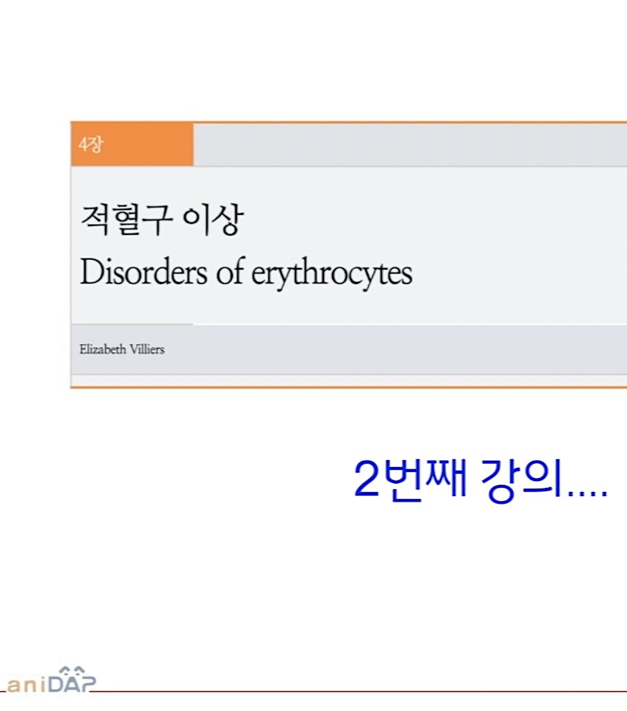 수의진단검사_적혈구 이상 2강