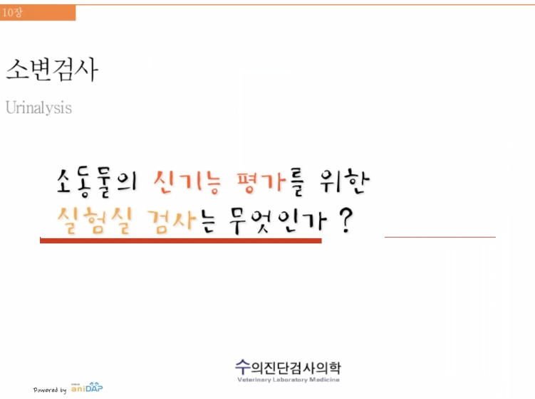 수의진단검사_콩팥기능 평가
