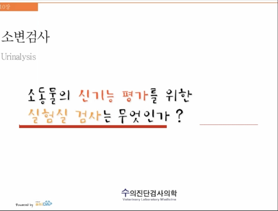 수의진단검사_소변검사